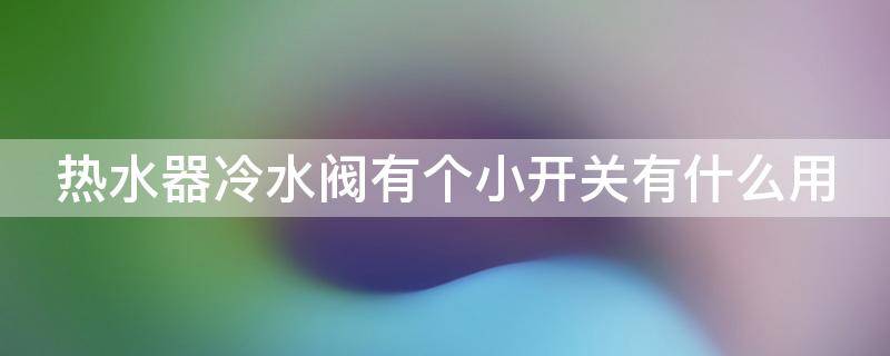 热水器冷水阀有个小开关有什么用 热水器冷水阀有个小开关有什么用呢