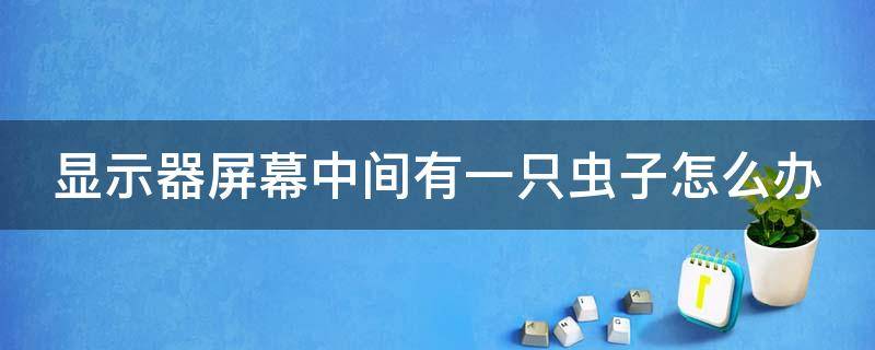 显示器屏幕中间有一只虫子怎么办 显示器屏幕里有小虫子