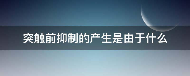 突触前抑制的产生是由于什么 突触前抑制的发生是由于(