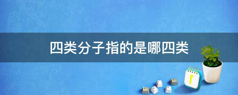 四类分子指的是哪四类（四类分子指的是哪四类?）