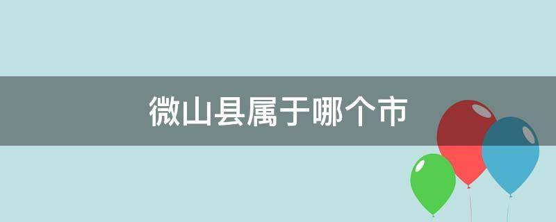 微山县属于哪个市（微山县属于哪个市区）