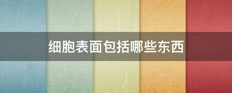 细胞表面包括哪些东西 细胞表面由什么构成