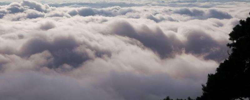 乱云飞渡仍从容是什么意思 乱云飞渡仍从容的下一句是什么意思