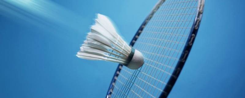 西南大学羽毛球比赛几年组织一次 西南科技大学 羽毛球