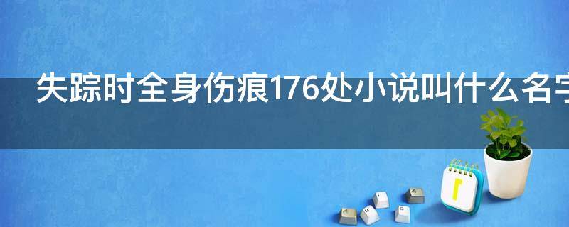 失踪时全身伤痕176处小说叫什么名字 失踪时全身伤口176处小说