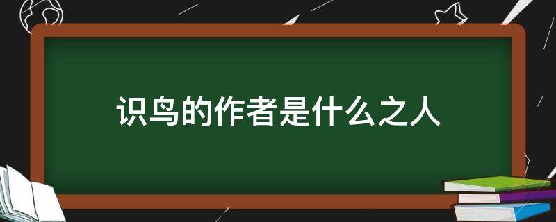 识鸟的作者是什么之人（识鸟的作者是什么样的人）