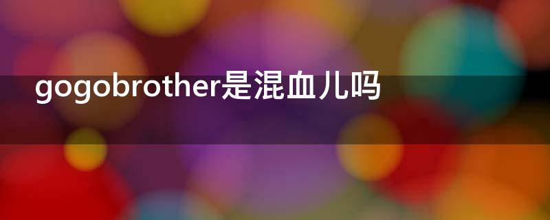 gogobrother是混血儿吗 gogobrother是双胞胎吗