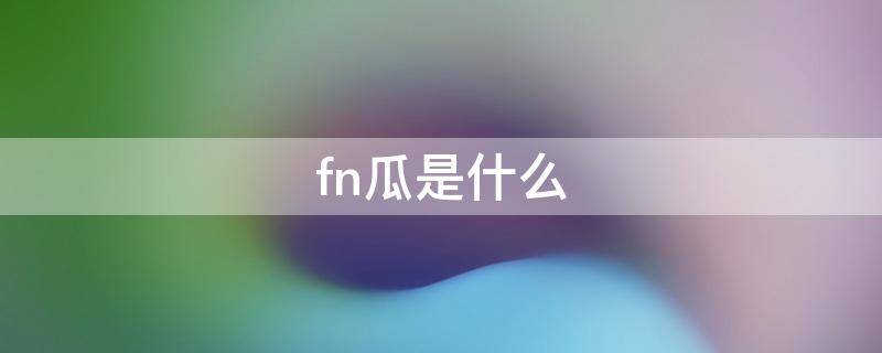 fn瓜是什么（fn是啥?）