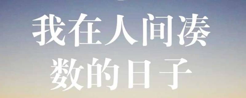 故事的开头极具温柔是谁说的（故事的开头都是温柔的）