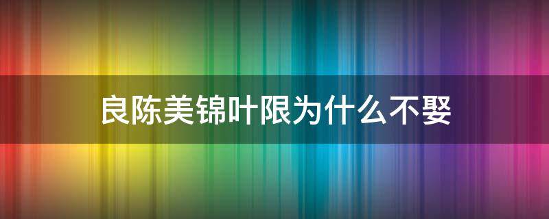 良陈美锦叶限为什么不娶 良陈美锦叶限喜欢谁