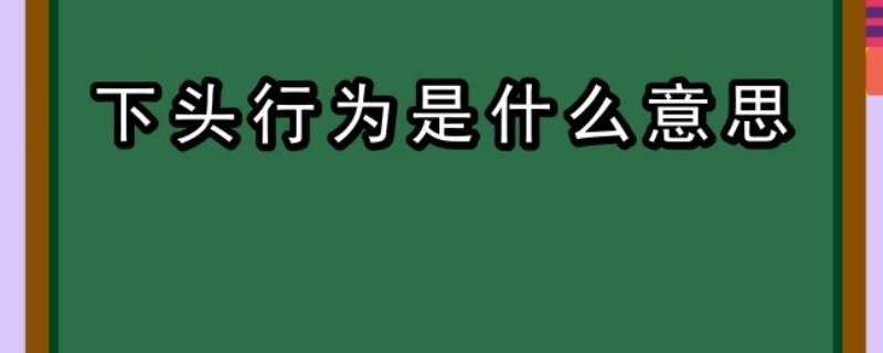 下头行为是什么意思（下头是什么意思）