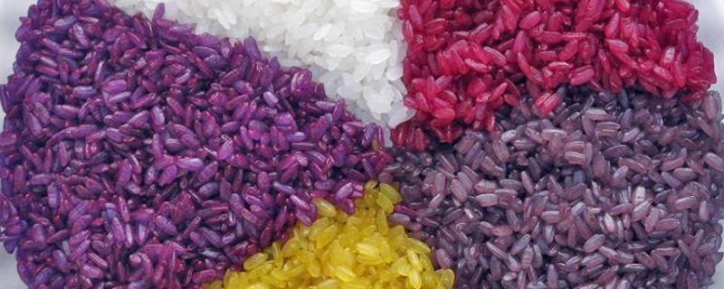 七彩米饭用什么植物染色 七彩米饭是用些什么染的?