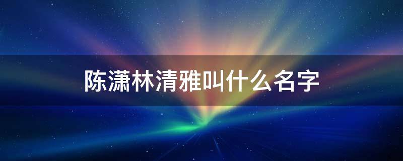 陈潇林清雅叫什么名字 陈潇林清雅的小说叫什么名字