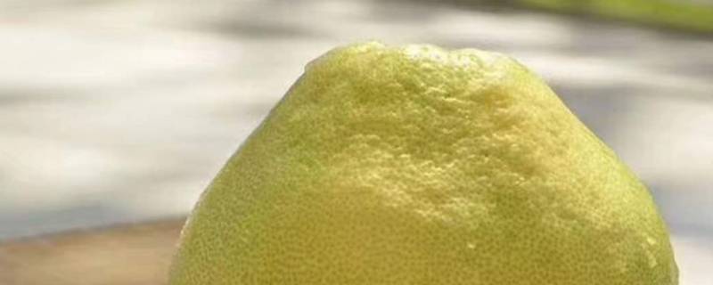 麻豆文旦柚越放越好吃吗 麻豆文旦柚的功效与作用