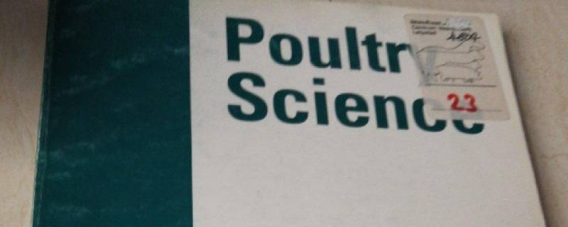 poultry（poultry are very）