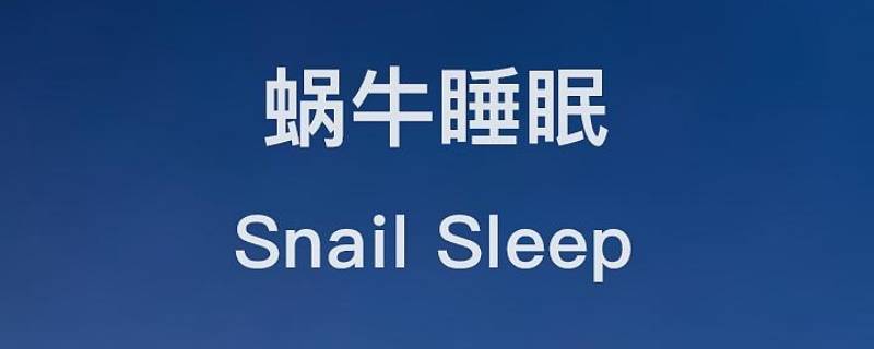 蜗牛睡眠的精选鼾声是全部吗（蜗牛睡眠如果跟老公一起睡,录的是谁的鼾声）