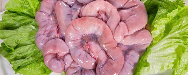 猪大肠用白醋洗有什么好处 白醋可以洗猪肠吗