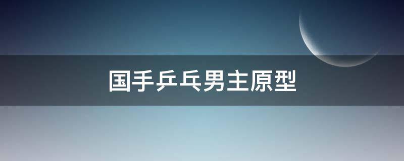 国手乒乓男主原型 以国乒为原型的小说