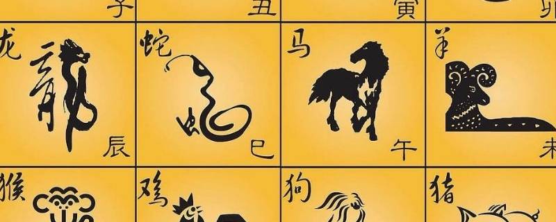 为了生存喜欢装死的生肖有哪些（为求生存的生肖）