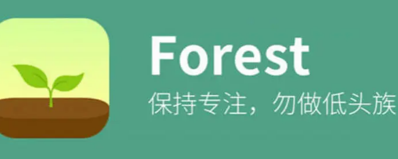 theforest怎么改中文（theforest怎么语音）