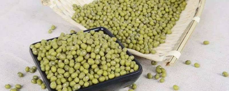 干绿豆可以长期放冰箱冷冻吗 绿豆冷冻可以存放多久