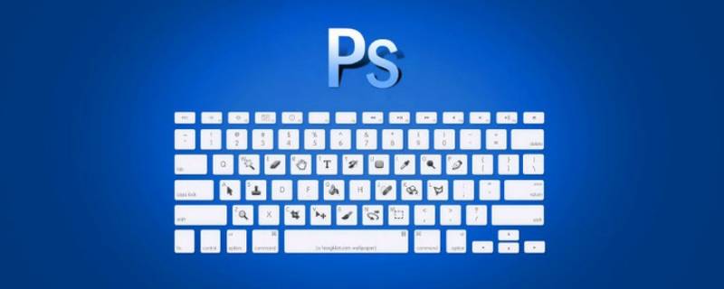 ps怎么把图片做成矢量图格式 ps如何把图片做成矢量图