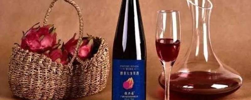火龙果酒的酿制方法（火龙果酒的制作方法 自酿）