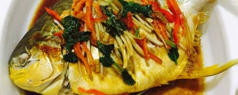 文昌鱼怎样做才好吃（三文鱼怎么做好吃）