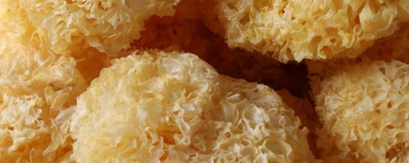 干银耳怎么煮才会粘稠（干的银耳怎么煮的粘稠）