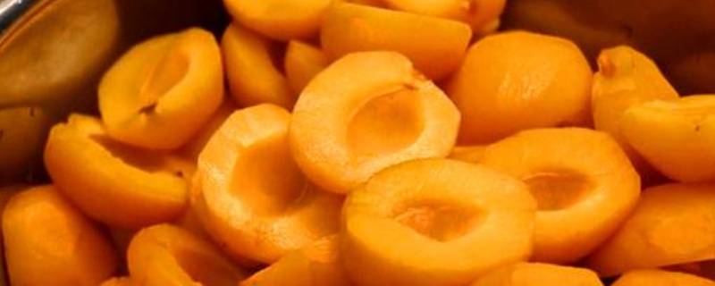 杏罐头的自制方法怎么去皮窍门（杏罐头的自制方法怎么去皮窍门）