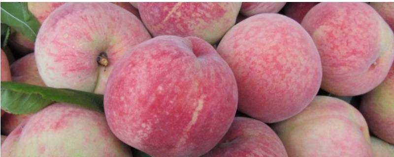 怎么清洗桃子上的毛毛（如何洗掉桃子上的毛）