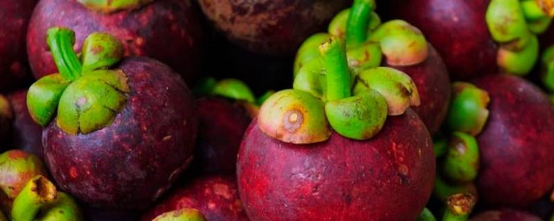 山竹如何剥开（山竹怎么剥开）