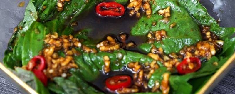 紫苏叶做菜有几种做法（紫苏叶菜谱）