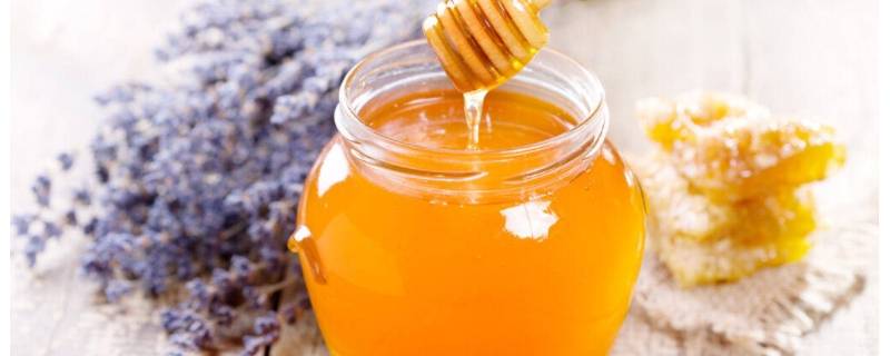 蜂胶怎么食用 蜂胶食用方法