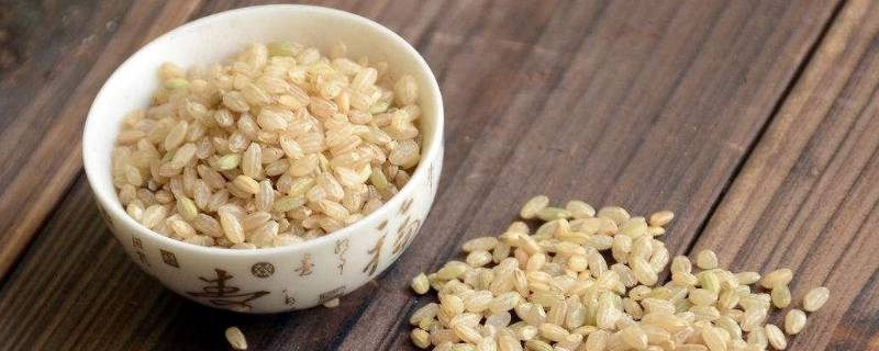 糙米怎么吃比较好 糙米怎么吃比较好吃