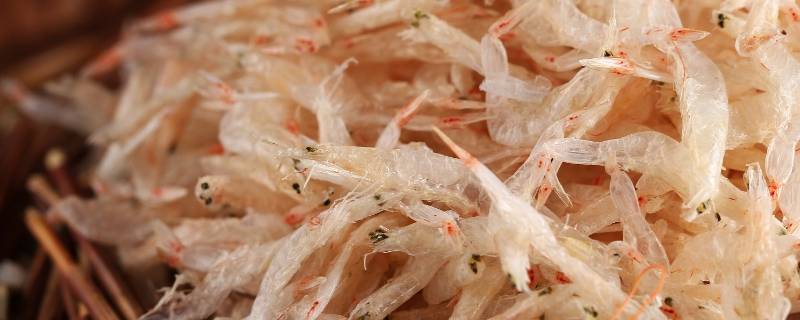 小虾皮怎么做好吃法（小虾皮的做法大全家常窍门）