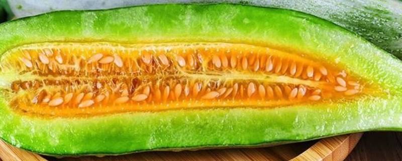 蜜甜瓜怎么吃（甜瓜怎么吃的）