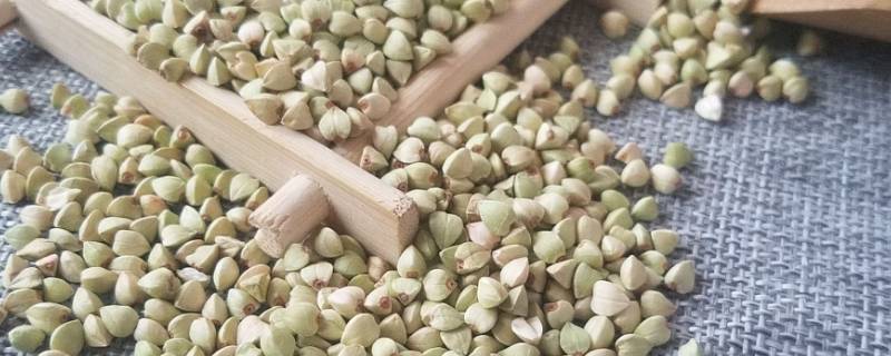 怎么吃荞麦米 怎样吃荞麦米