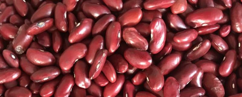 红腰豆怎么做好吃又简单 红腰豆做特色菜