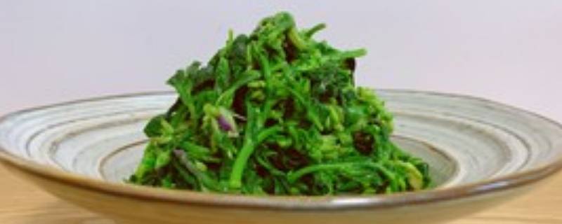 二月兰花怎么吃（二月兰怎样吃）