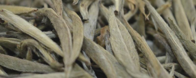 白毫银针如何冲泡 白毫银针如何冲泡茶具