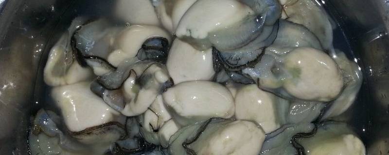 海蛎怎么吃好吃 海蛎怎么吃啊