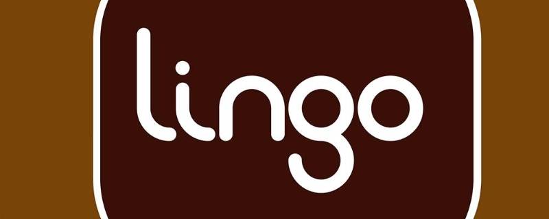 lingo是什么软件（Ling是什么软件）