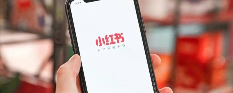小红书号多久可以修改一次 小红书号修改次数已达上限
