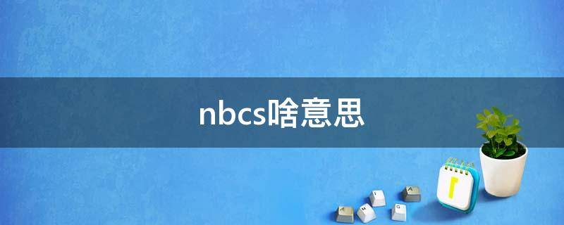 nbcs啥意思（呵呵,NBCS是什么意思）
