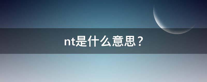 nt是什么意思？（nt是什么货币）