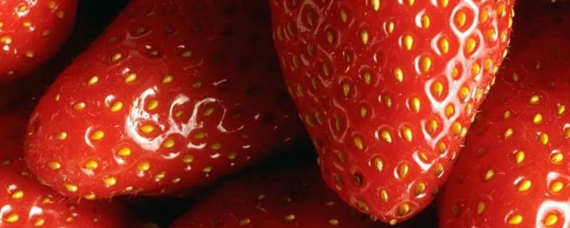 16颗草莓寓意 十六颗草莓代表什么
