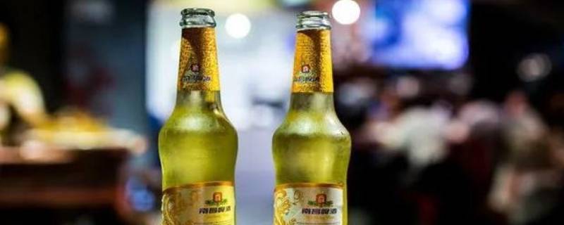 啤酒酒精度多少 青岛啤酒酒精度多少