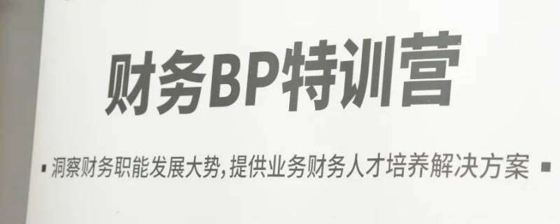 财务bp是什么意思？ 财务bp是什么意思职位