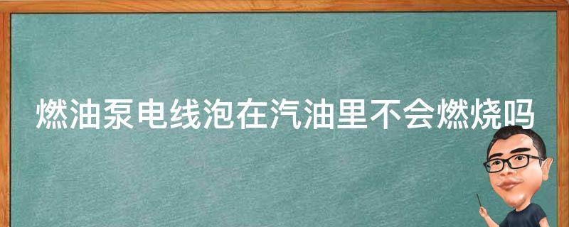 燃油泵电线泡在汽油里不会燃烧吗 燃油泵电线泡在汽油里不会燃烧吗